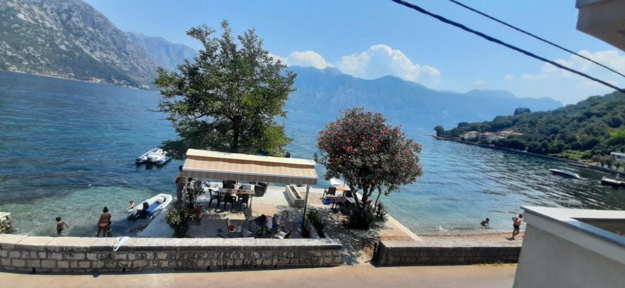 Apartmants Alexander Appartamento Cattaro Esterno foto