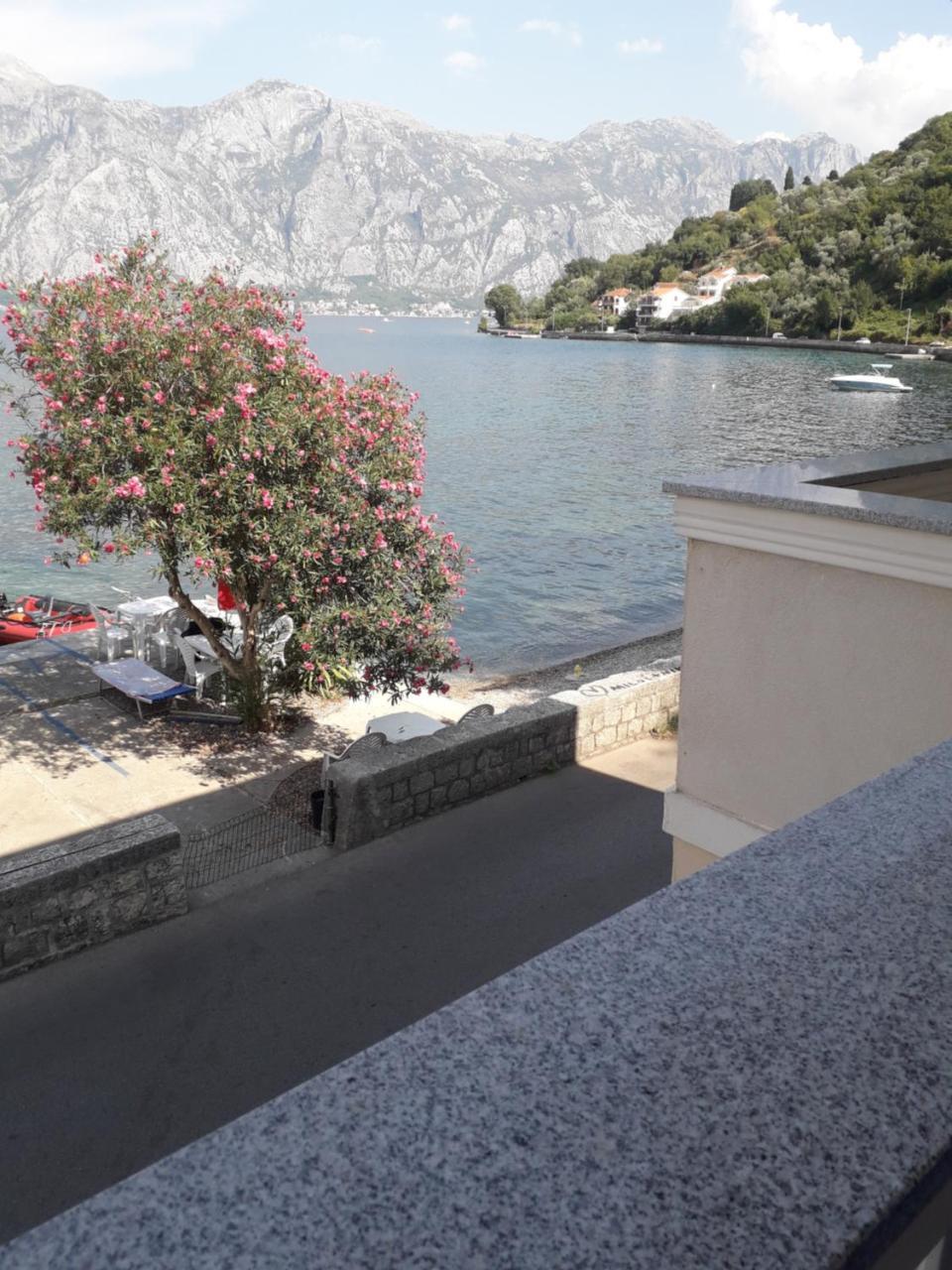 Apartmants Alexander Appartamento Cattaro Esterno foto